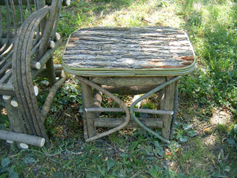 Item# 362 - Bass Bark Daydream End Table